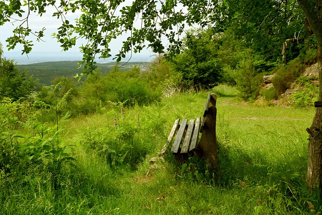 一动都可能 一动都可能