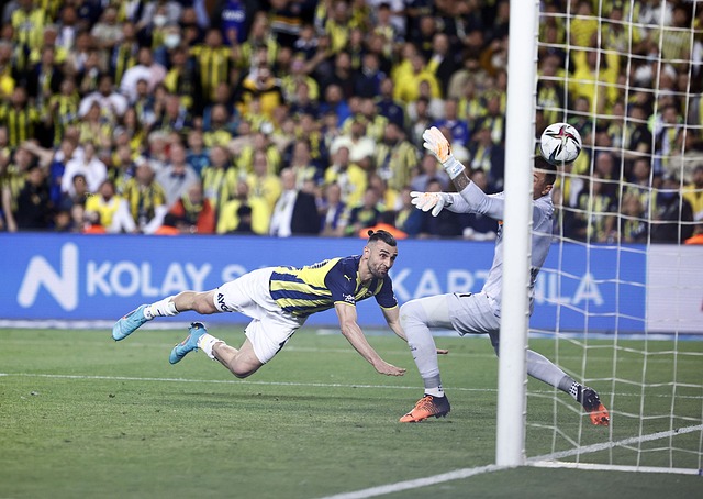 之所以引人 之所以引人