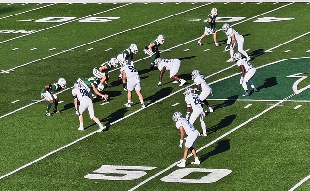 中的专业态 中的专业态